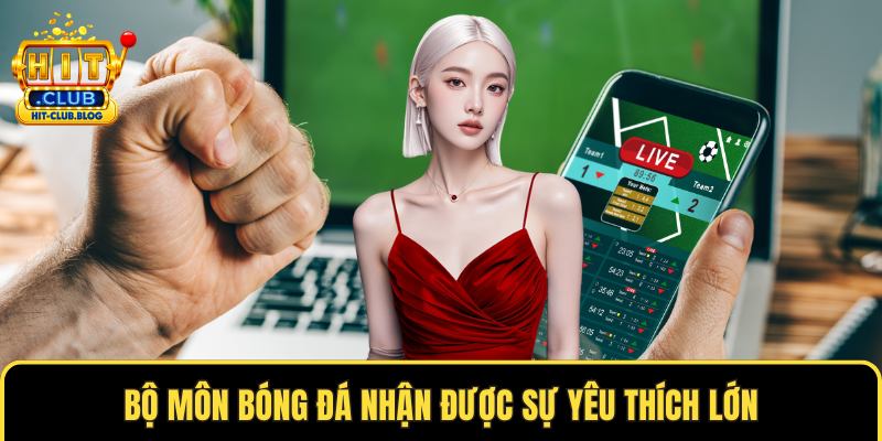 Bộ môn bóng đá nhận được sự yêu thích lớn