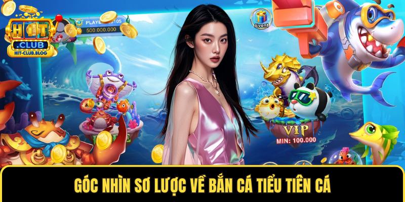 Góc nhìn sơ lược về bắn cá tiểu tiên cá