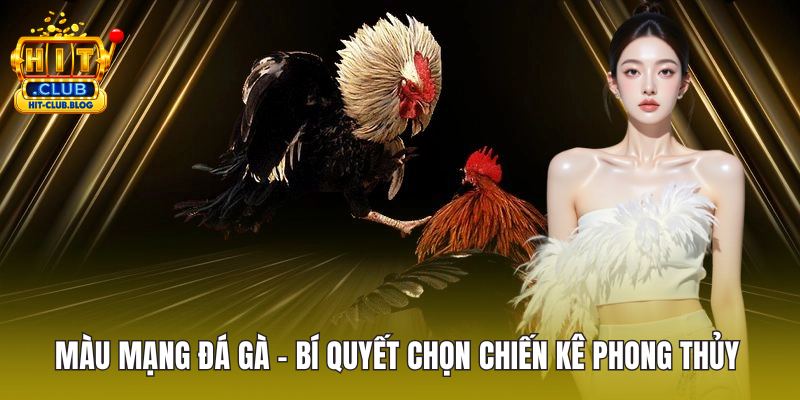 Màu mạng đá gà ảnh đại diện