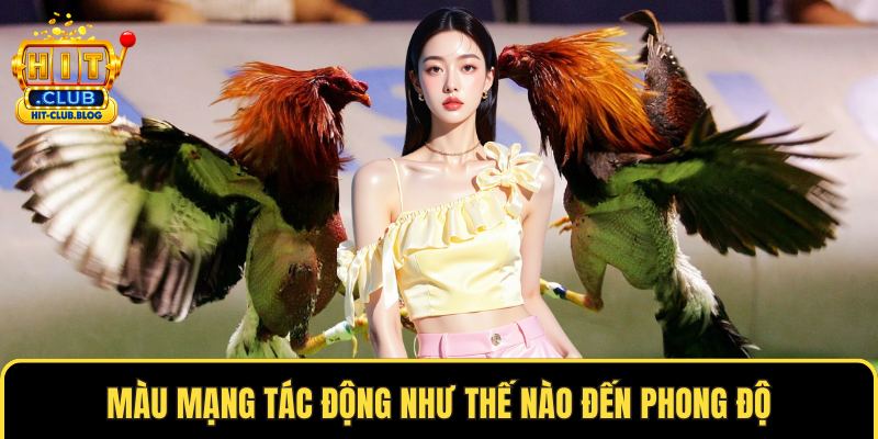 Màu mạng tác động như thế nào đến phong độ
