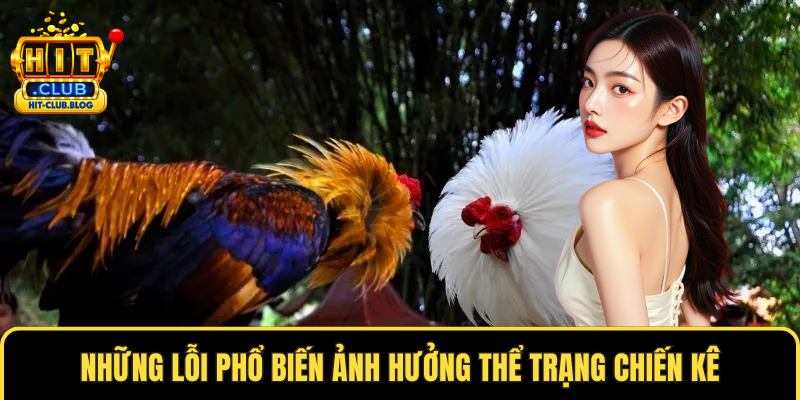 Những lỗi phổ biến ảnh hưởng thể trạng chiến kê
