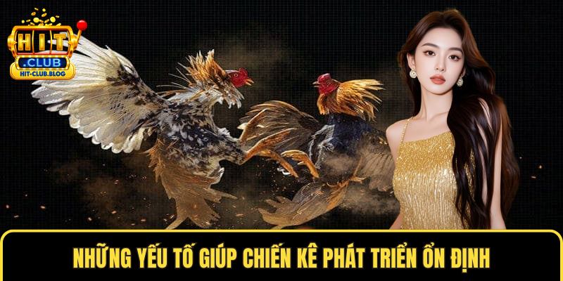 Những yếu tố giúp chiến kê phát triển ổn định